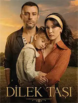 Dilek Taşı